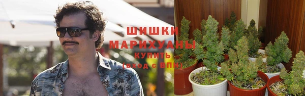 СК Покачи