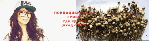 стаф Пестово