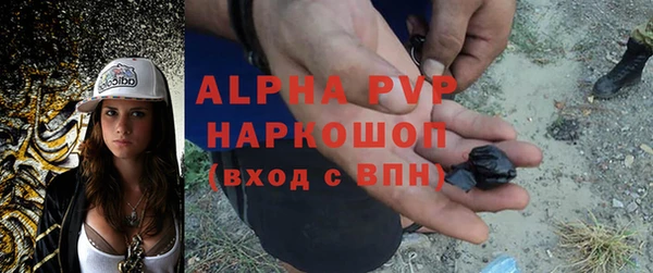 СК Покачи