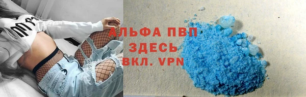 СК Покачи