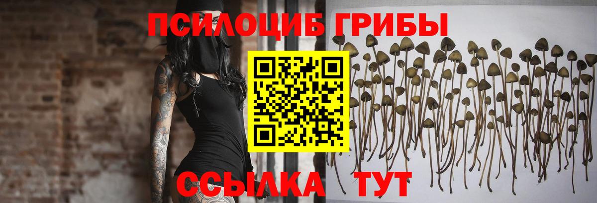 продажа наркотиков  Балаково  Псилоцибиновые грибы мицелий  Псилоцибиновые грибы ЛСД 
